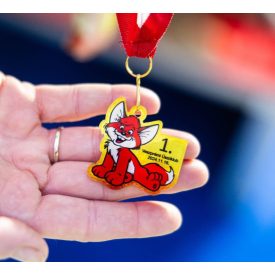 UV nyomtatott, 4 cm-es, egyedi alakban vágott plexi érem